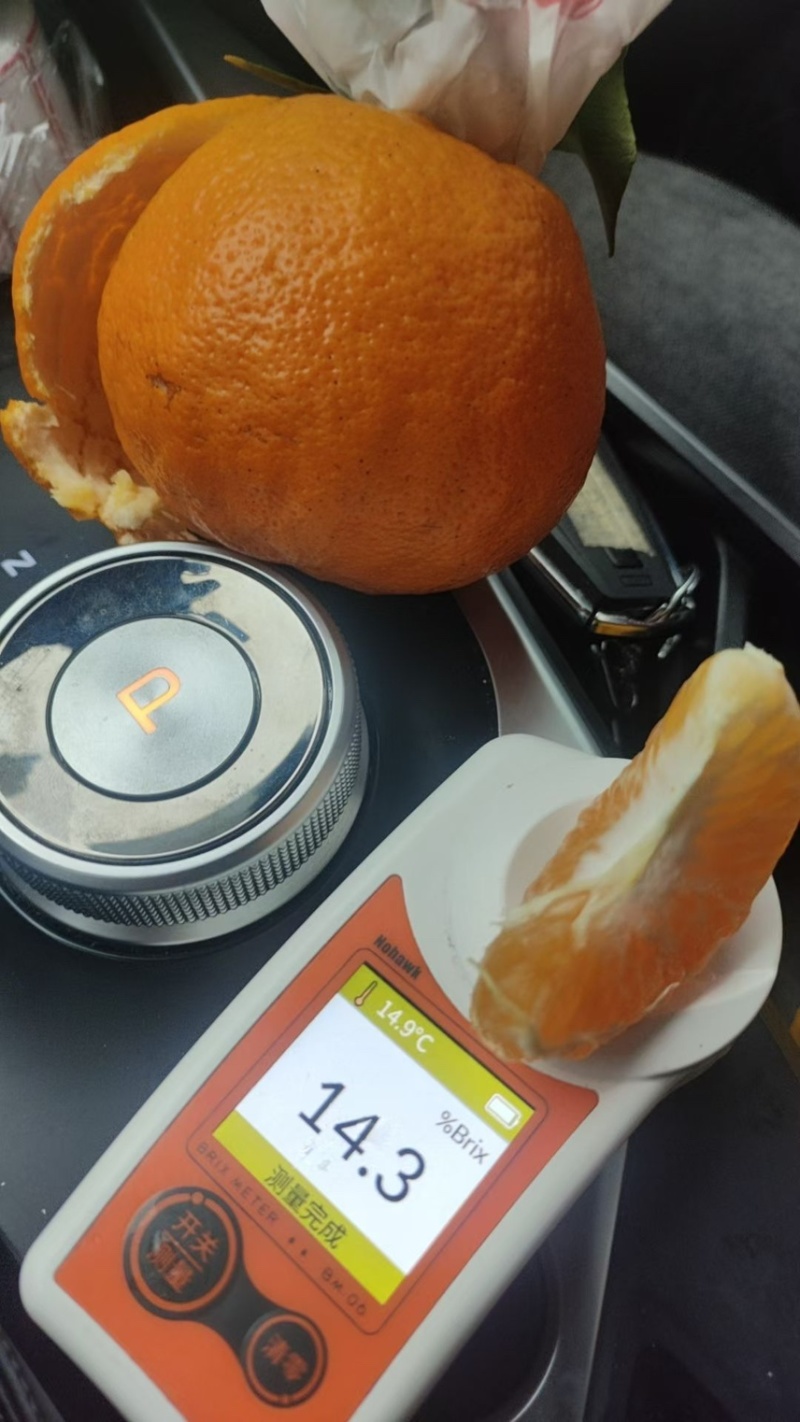 春见耙耙柑全国发货承接商超电商平台