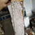 荔枝蜜和龙眼蜜大量接单产地直发量大从优欢迎来电咨询