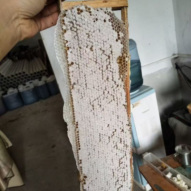 荔枝蜜和龙眼蜜大量接单产地直发量大从优欢迎来电咨询