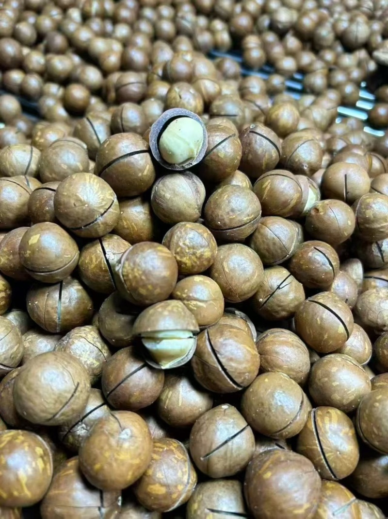 夏威夷果大量现货批发代发