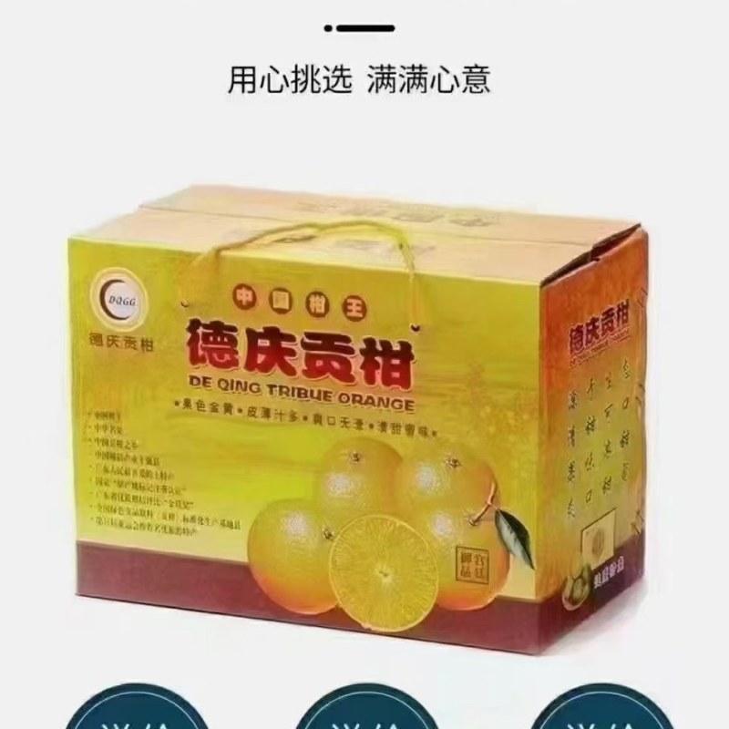 德庆贡柑上新啦！一箱10斤+，产地直供不赚差价，包邮