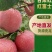 【顺源果业】甘肃静宁红富士苹果产地直发货源规格齐全