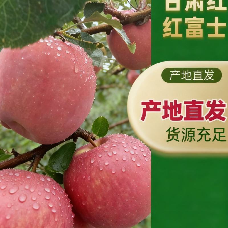 【顺源果业】甘肃静宁红富士苹果产地直发货源规格齐全
