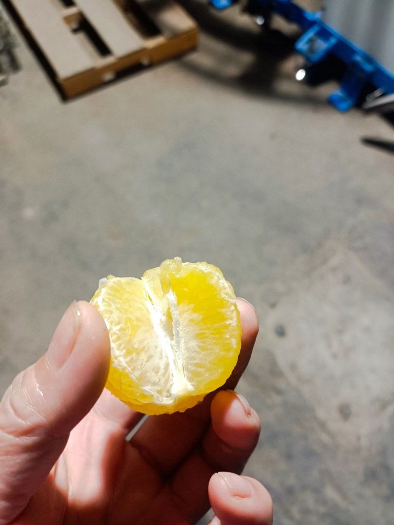 德庆贡柑上新啦！一箱10斤+，产地直供不赚差价，包邮