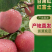 【顺源果业】甘肃静宁红富士苹果产地直发货源规格齐全