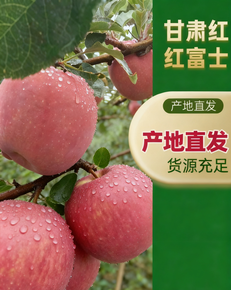 【顺源果业】甘肃静宁红富士苹果产地直发货源规格齐全