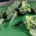 【热卖推荐】西兰花🥦产地直销量大从优可视频看货对接全国