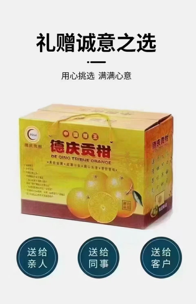 德庆贡柑上新啦！一箱10斤+，产地直供不赚差价，包邮