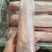 标猪三号肉