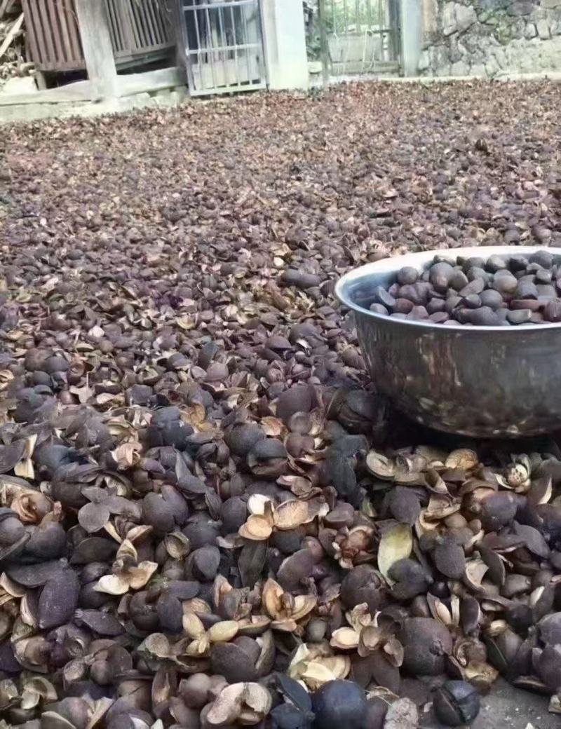 山茶油本地茶油小种送礼团购