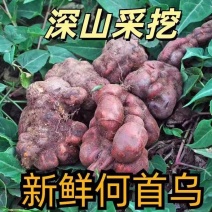 包邮）贵州野生何首乌新鲜生首乌洗头何首乌干片正品中药材