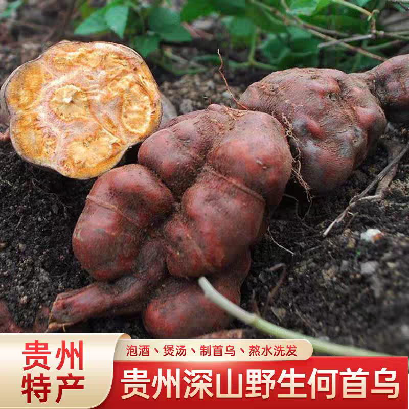 包邮）贵州野生何首乌新鲜生首乌洗头何首乌干片正品中药材