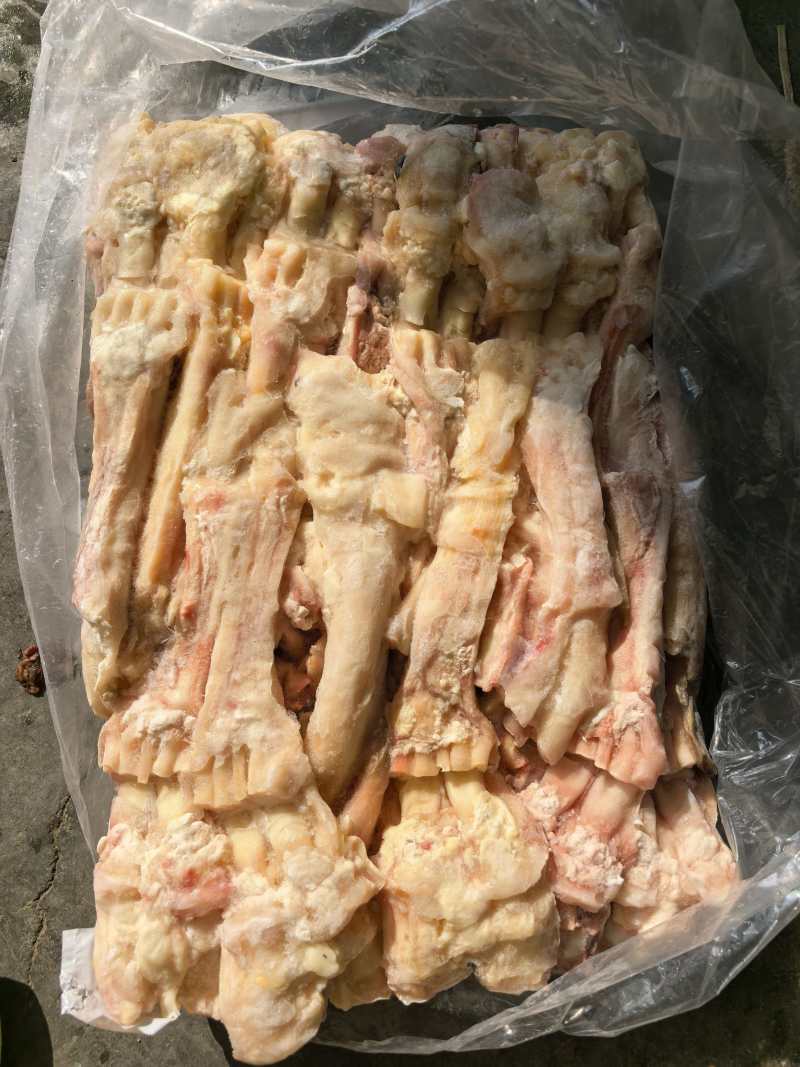 山东国产牛蹄筋新鲜上市价格美丽对接全国欢迎采购