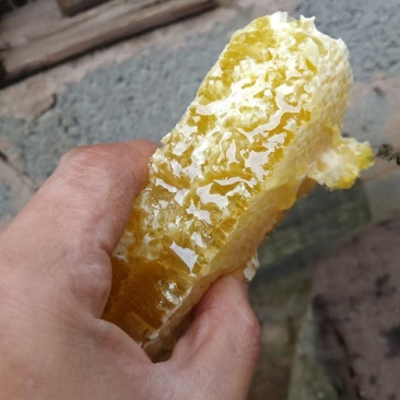 土蜂蜜