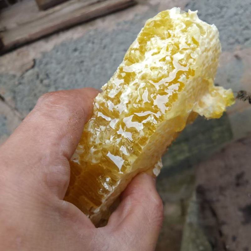 土蜂蜜