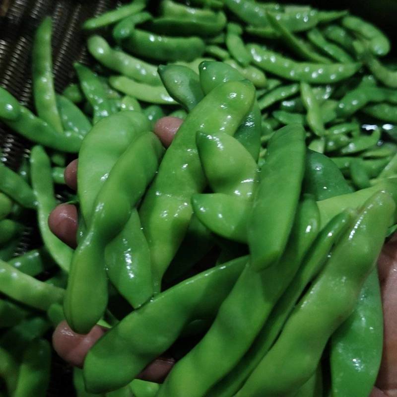 东北特产速冻油豆角