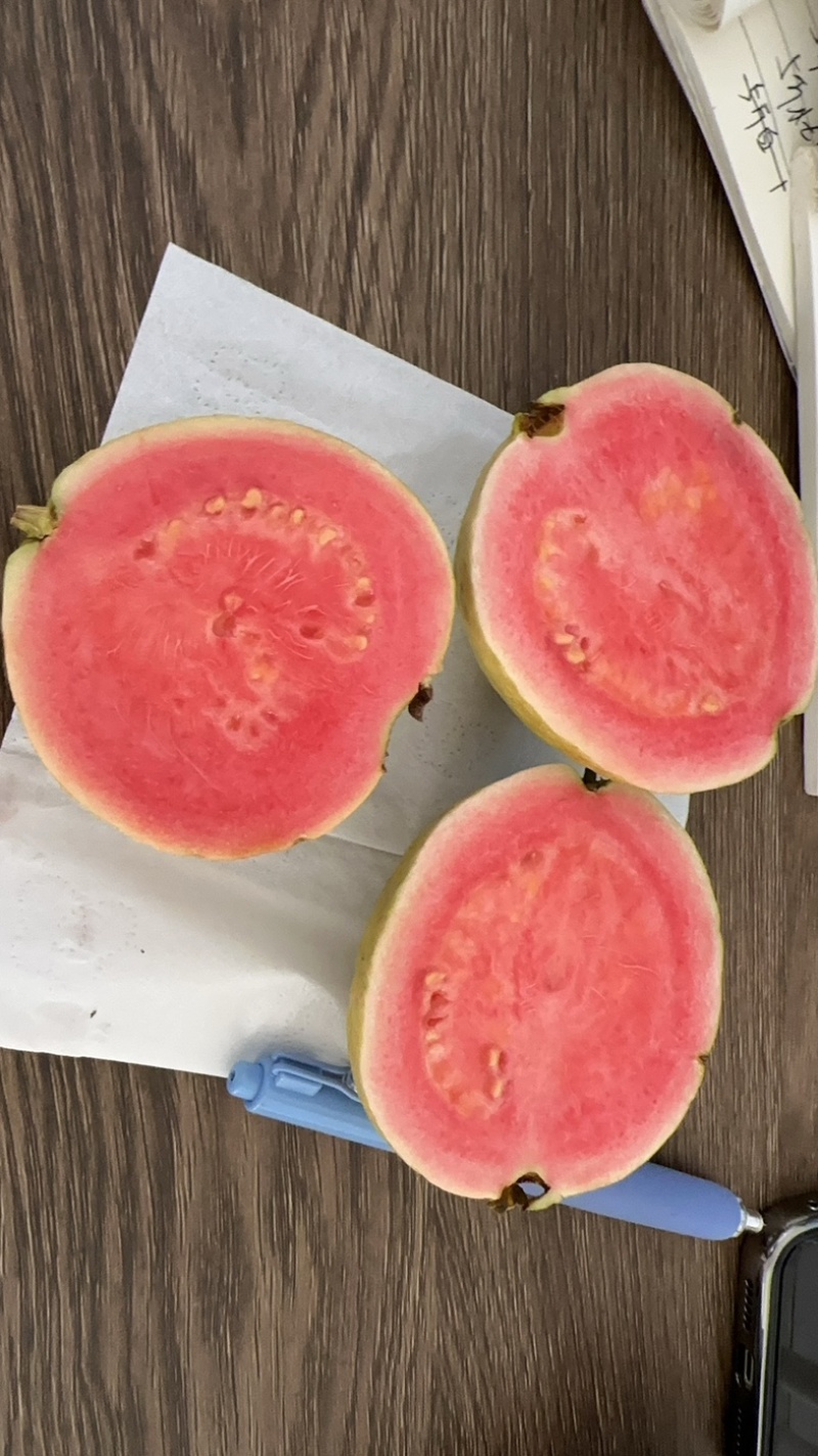 红心白心芭乐番石榴一件代发