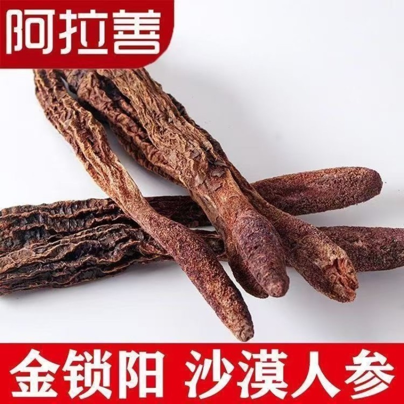 锁阳中药材，正宗内蒙金锁阳批发零售货真价实