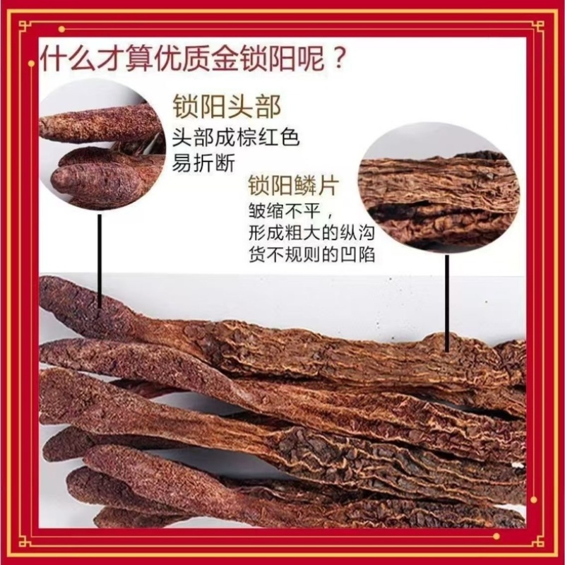 锁阳中药材，正宗内蒙金锁阳批发零售货真价实