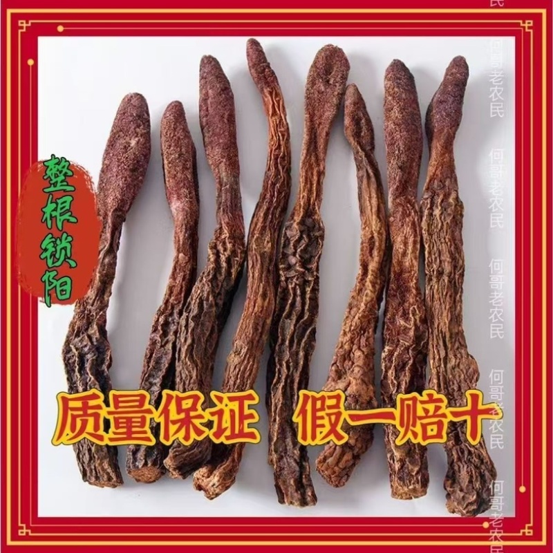 锁阳中药材，正宗内蒙金锁阳批发零售货真价实