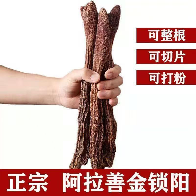 锁阳中药材，正宗内蒙金锁阳批发零售货真价实