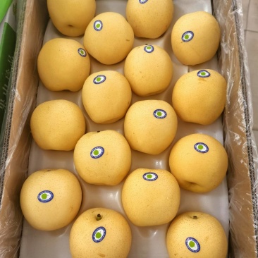 皇冠梨