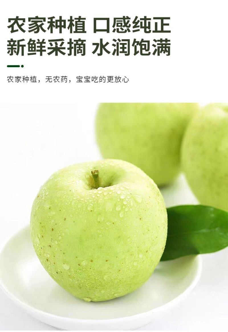 现货王林苹果日本青森青苹果新鲜水果脆甜孕妇时令应季