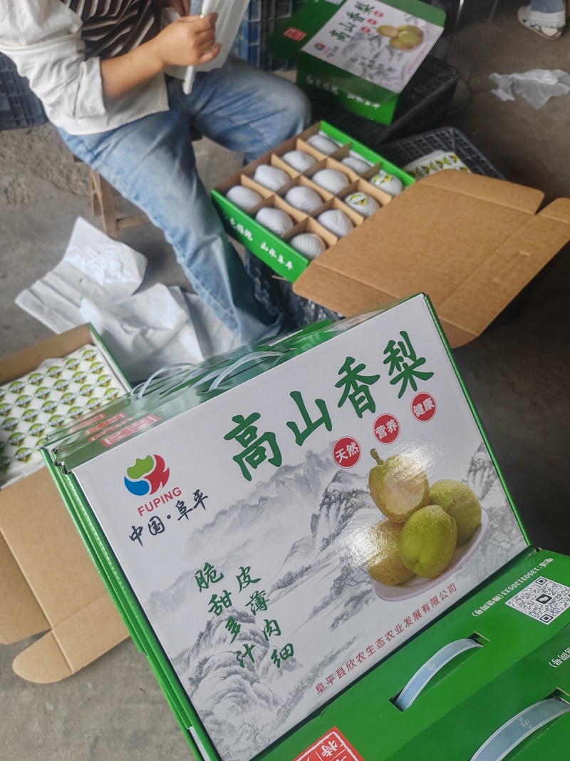精品秋月梨礼盒9斤装！可全国发货！质量保证！口感**好