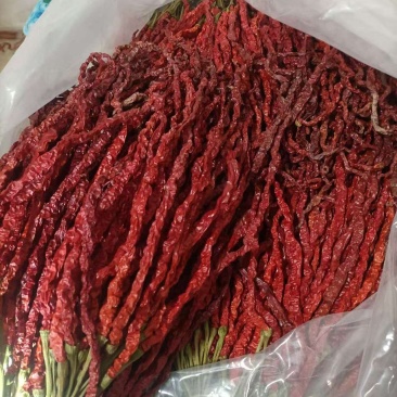 贵州高原干辣椒