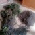 女贞子随时有货正品保障全网低价优惠中