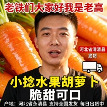 小辣捻水果萝卜