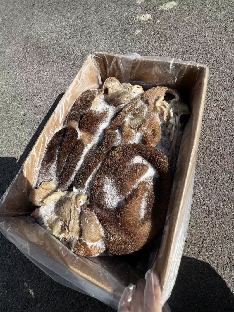 熟黑羊肚