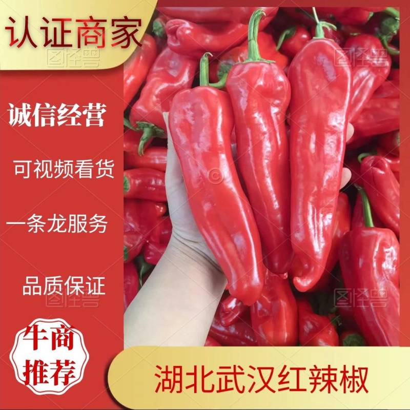 湖北红椒产地直发货源充足价格优惠可视频看货