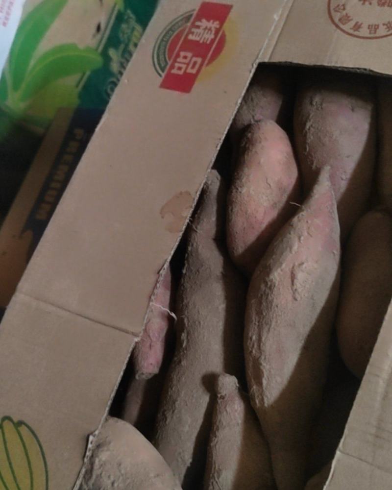 红薯黄芯蜜薯