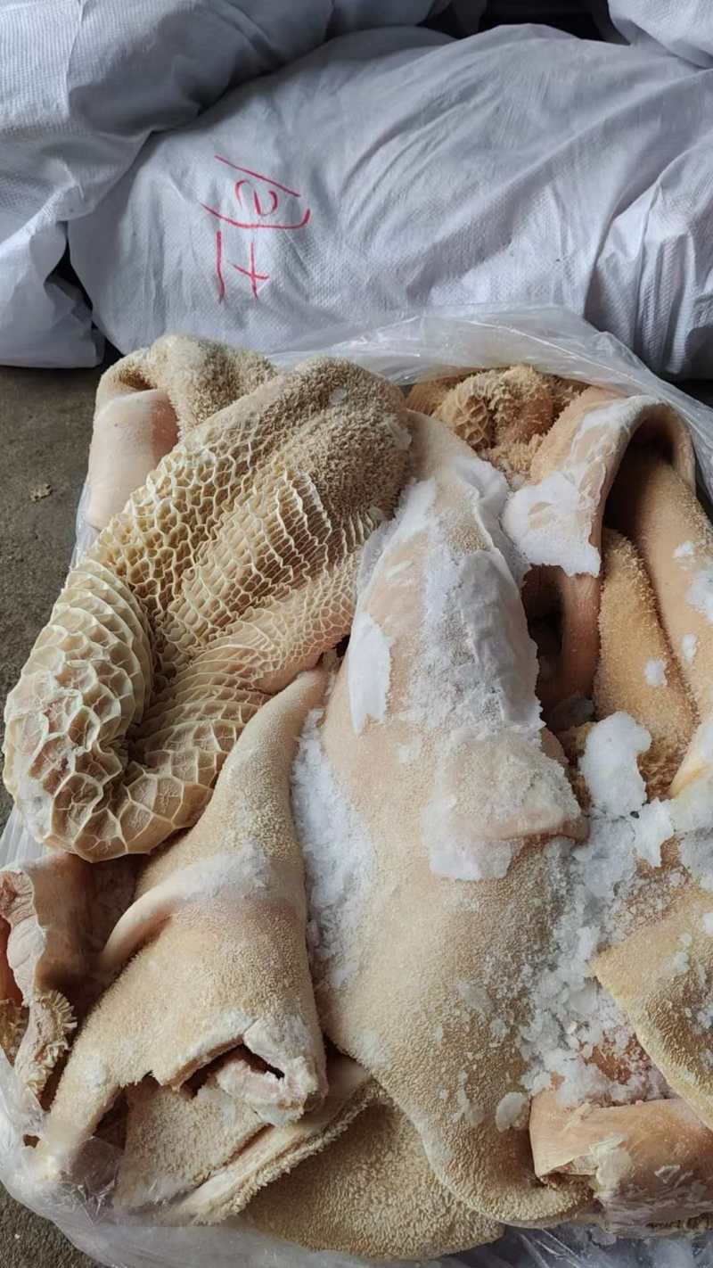 山东六成熟牛肚出成高一斤出六两左右价格美丽质量保证厂家直销