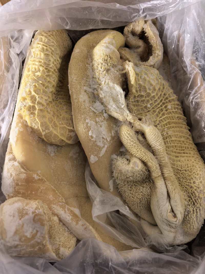 山东六成熟牛肚出成高一斤出六两左右价格美丽质量保证厂家直销