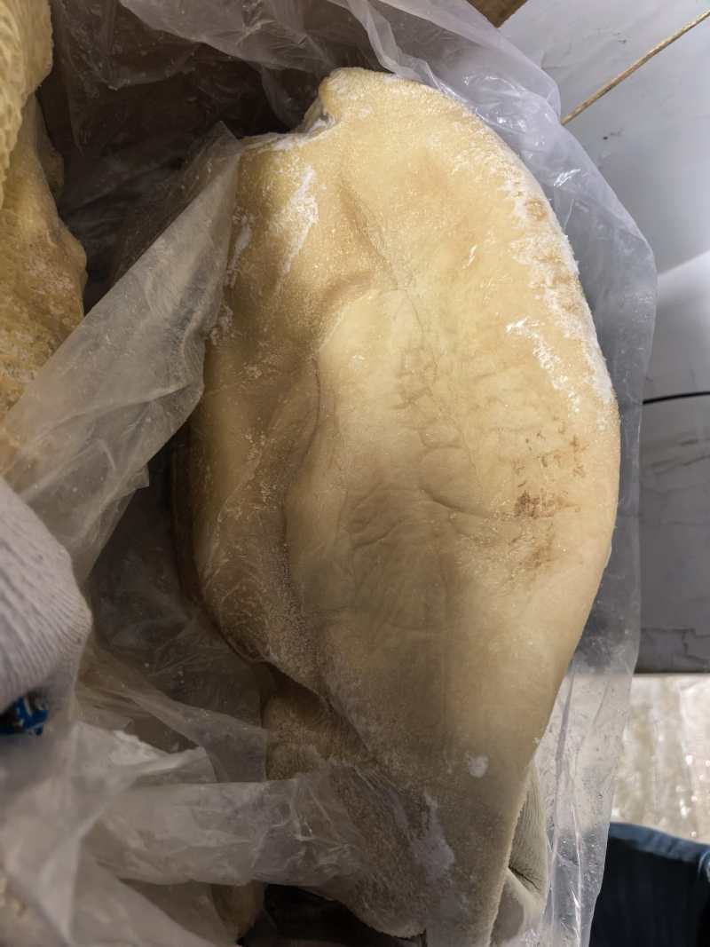 山东六成熟牛肚出成高一斤出六两左右价格美丽质量保证厂家直销