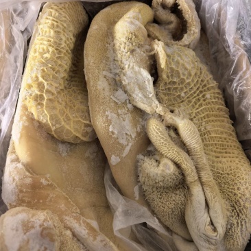 山东六成熟牛肚出成高一斤出六两左右价格美丽质量保证厂家直销
