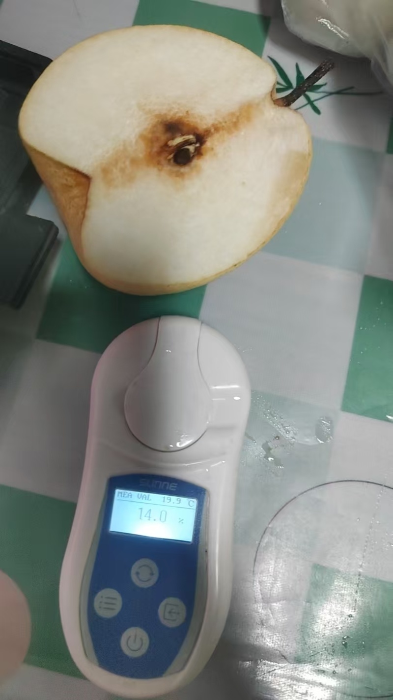 山西纸袋酥梨已大量上市，皮薄胡小口感好，地头看货收货，有