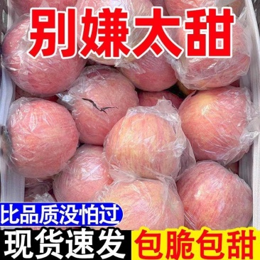 红富士苹果丑苹果【一件代发全网低价】阿克苏新疆苹果