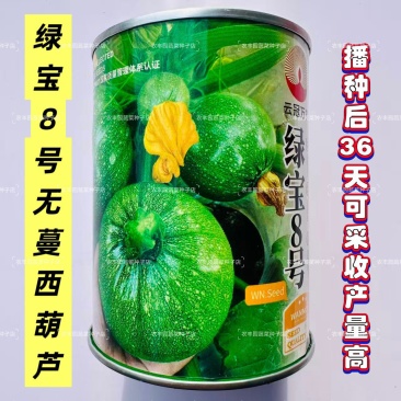 绿宝8号南瓜种籽高档无蔓西葫芦种子产量高瓜色浅绿光亮元宝