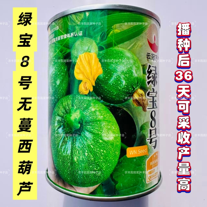绿宝8号南瓜种籽高档无蔓西葫芦种子产量高瓜色浅绿光亮元宝