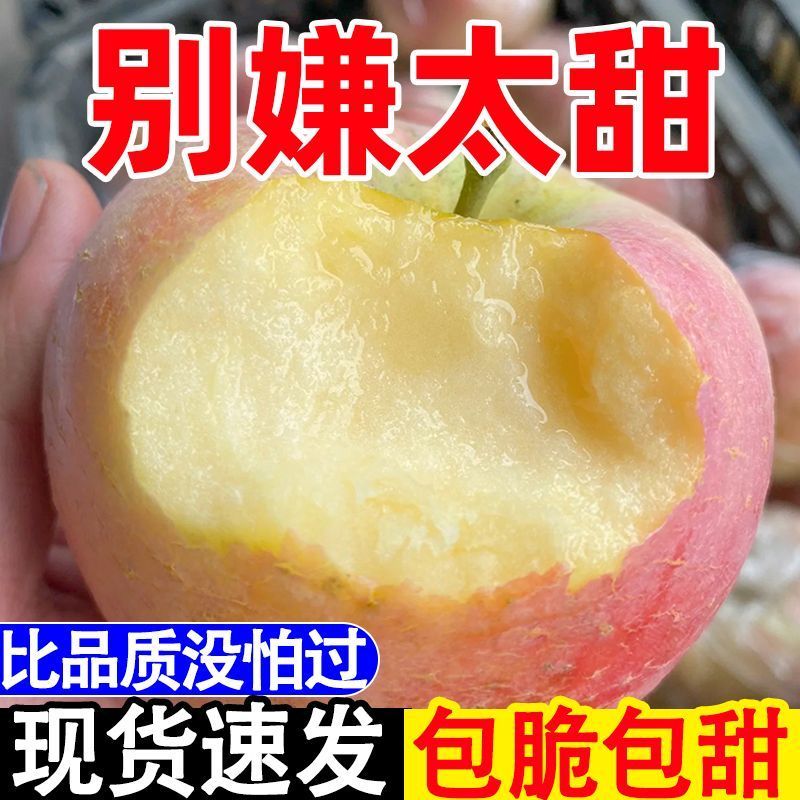 红富士苹果丑苹果【一件代发全网低价】阿克苏新疆苹果