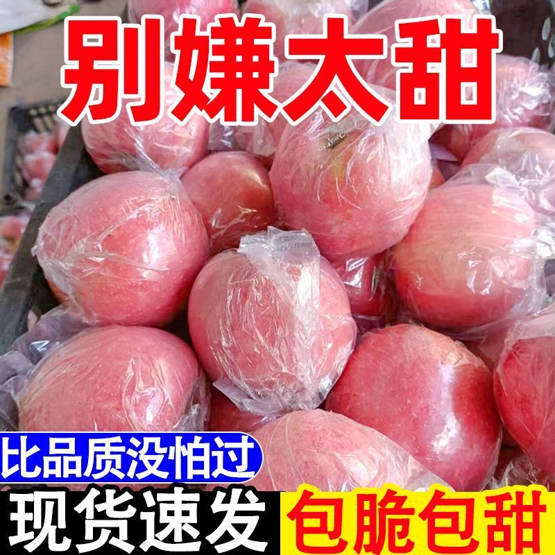 红富士苹果丑苹果【一件代发全网低价】阿克苏新疆苹果