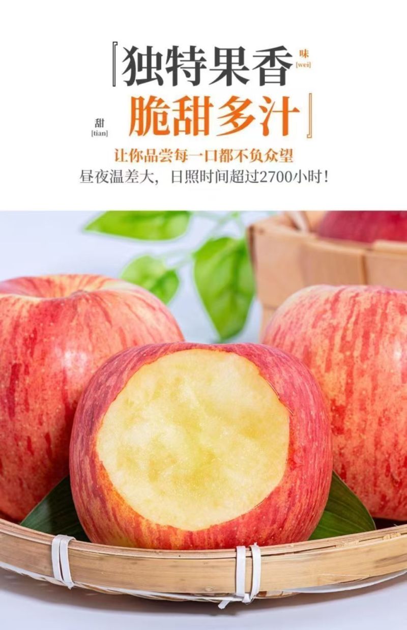 红富士苹果丑苹果【一件代发全网低价】阿克苏新疆苹果
