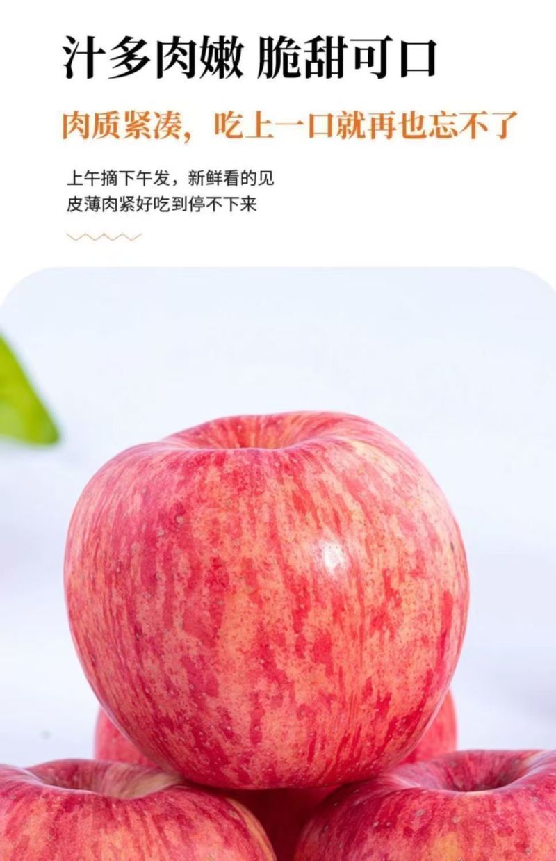 红富士苹果丑苹果【一件代发全网低价】阿克苏新疆苹果