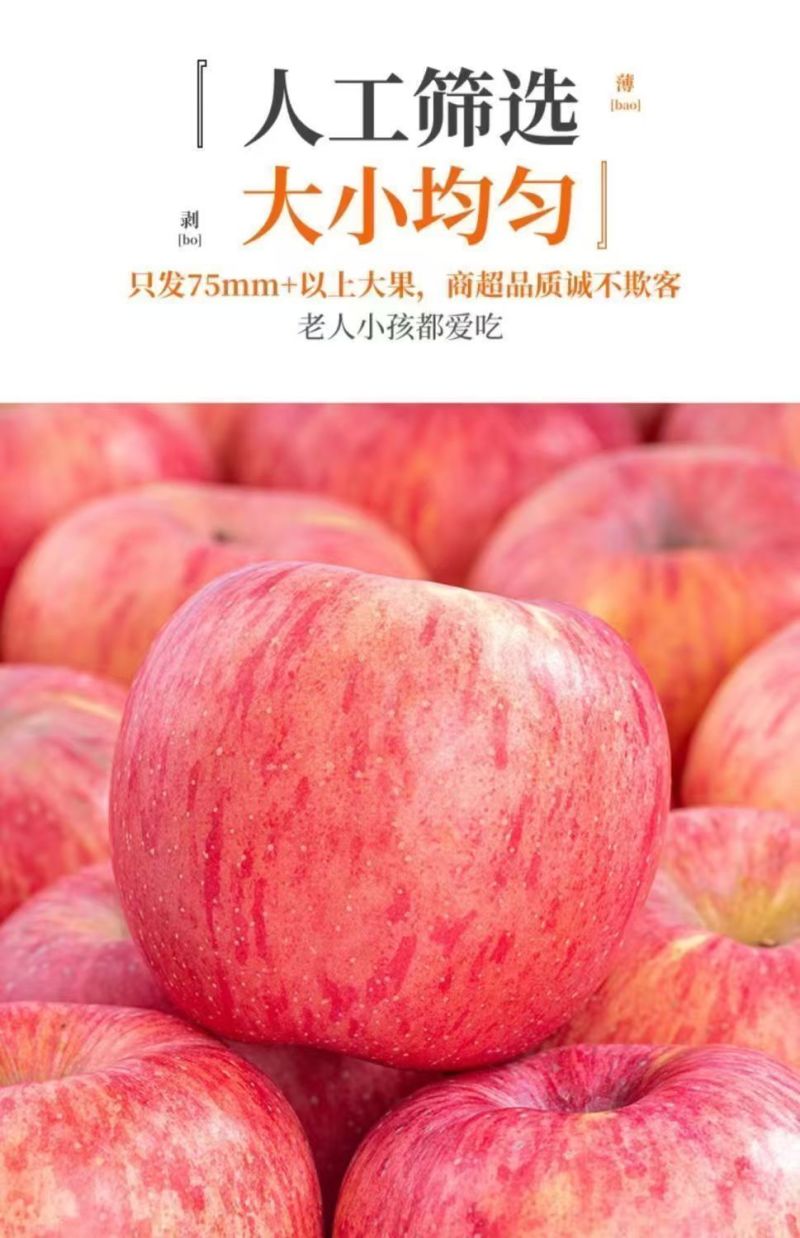 红富士苹果丑苹果【一件代发全网低价】阿克苏新疆苹果