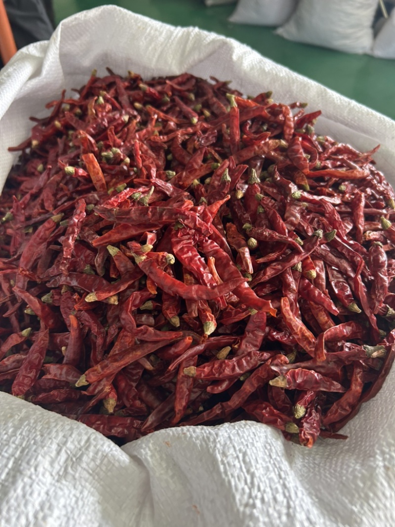 干辣椒需要联系/产地直发/加工销售一体