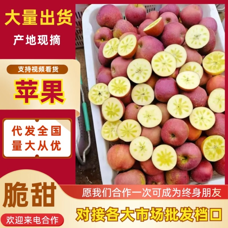 云南昭通冰糖心丑苹果，对接精品高中低档，市场，代办