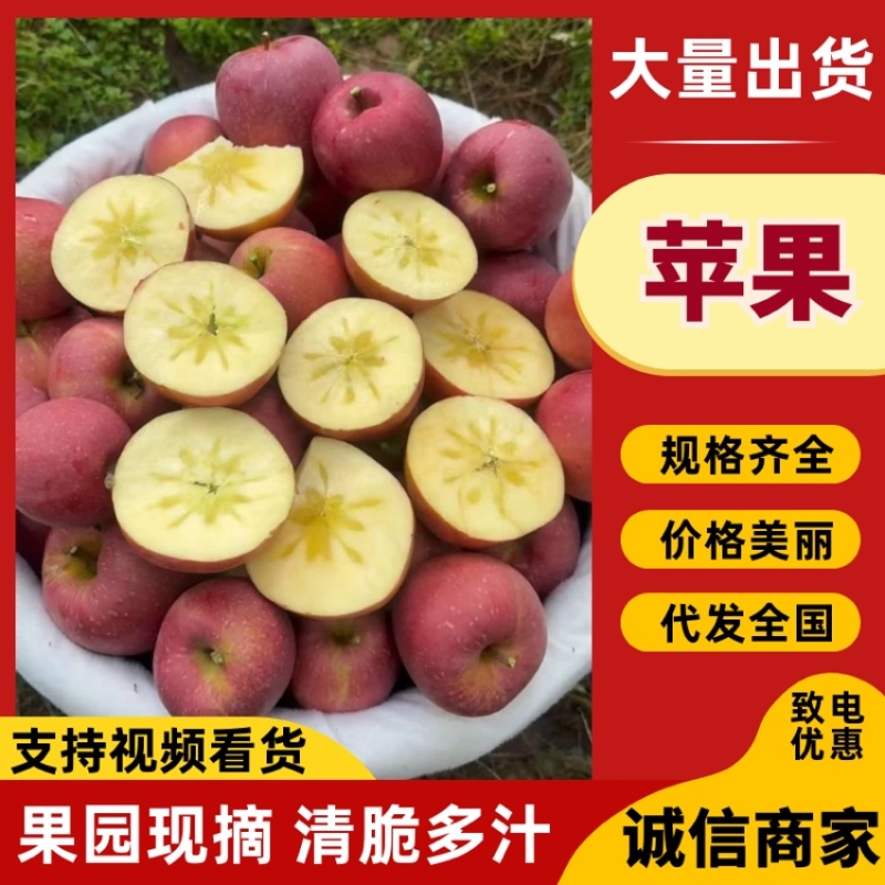 云南昭通冰糖心丑苹果，对接精品高中低档，市场，代办